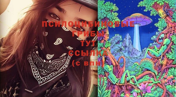 спайс Вяземский