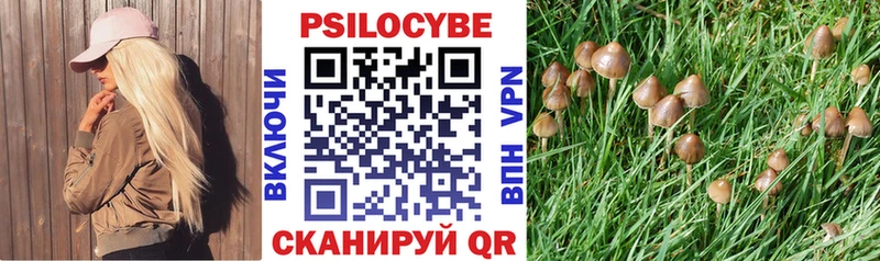 Галлюциногенные грибы GOLDEN TEACHER Купить где Старая Русса